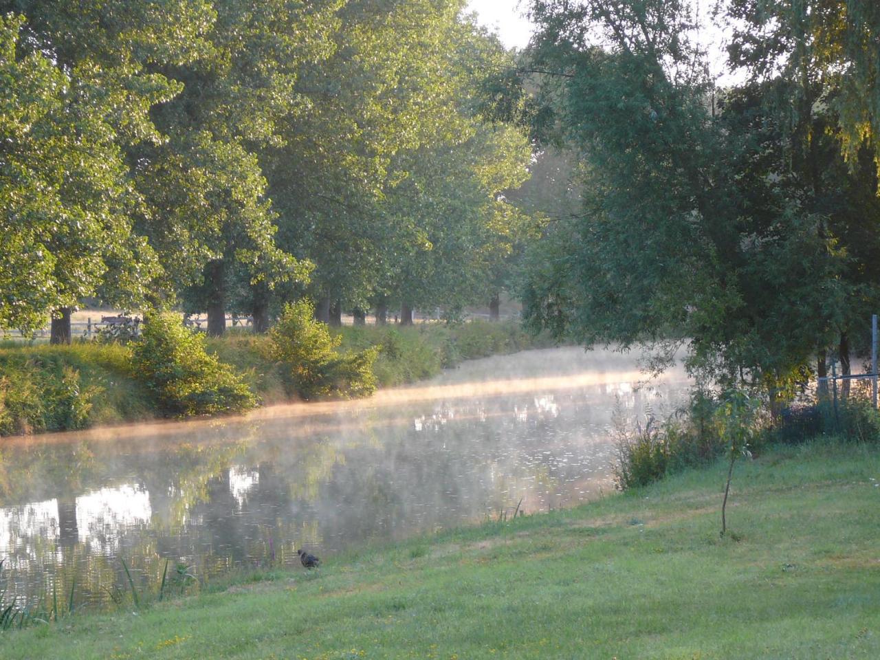 Au Crapaud Charmant Merbes-le-Chateau ภายนอก รูปภาพ